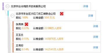 北京丰台光电技术咨询服务公司的技术咨询价值与服务模式